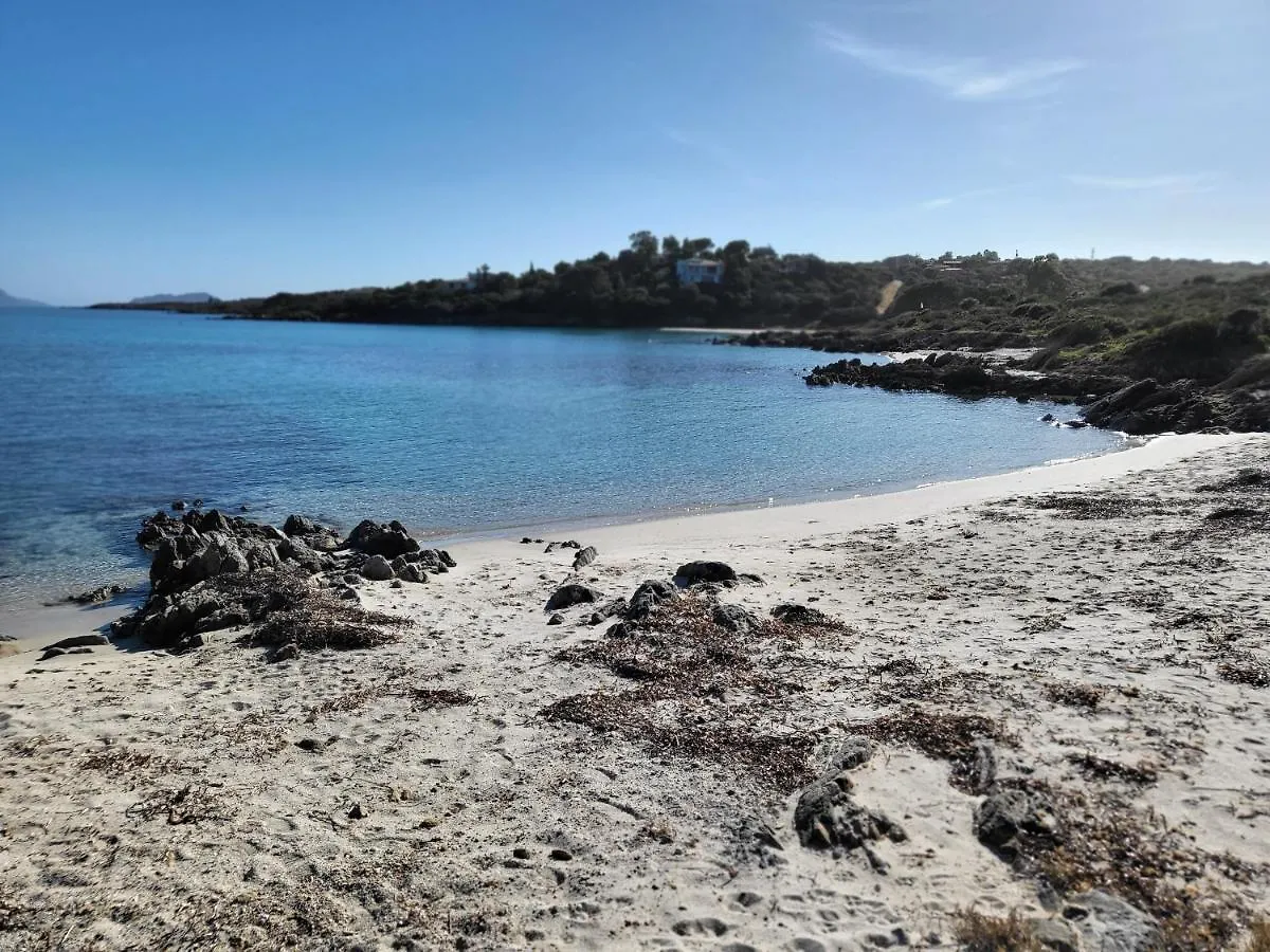 Appartamento Terrata Golfo Aranci Marinella  Italy